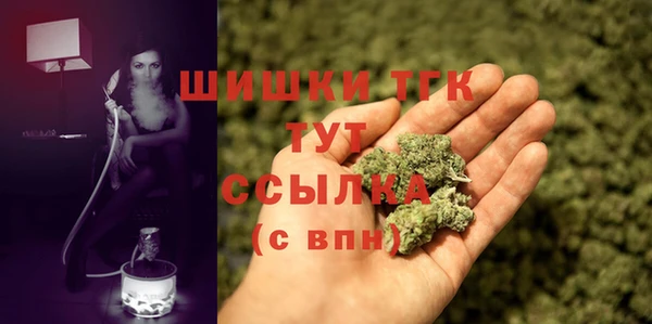 дмт Алзамай