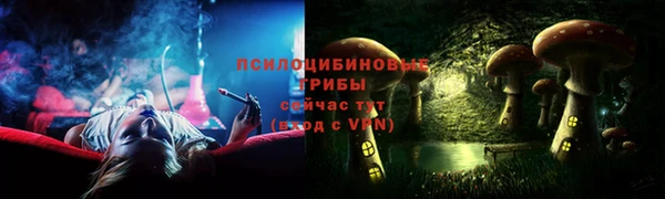 дмт Алзамай
