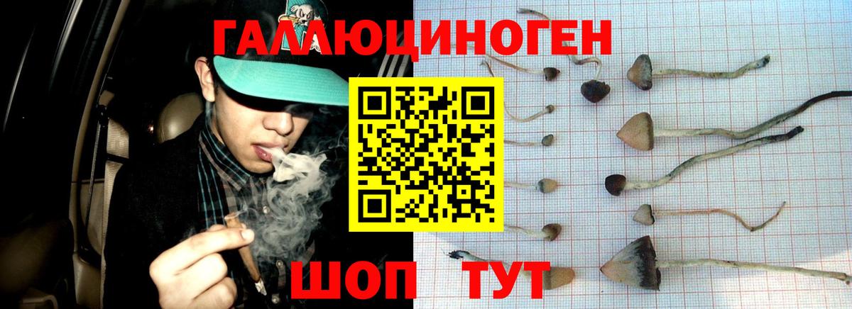 ГАШ Лесосибирск