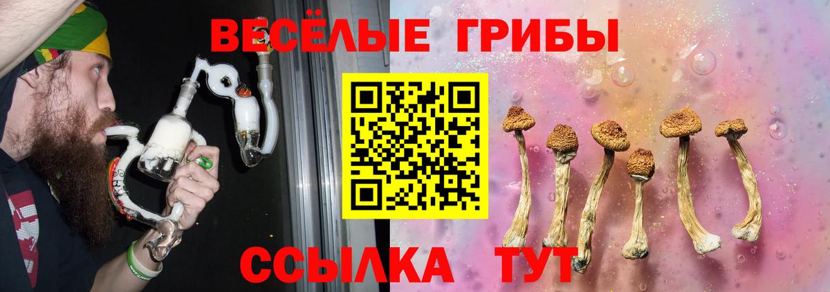 Лесосибирск  Галлюциногенные грибы ЛСД  Вход с VPN 